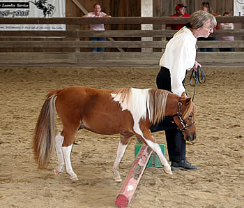 Buckshot in the Trail Class (3rd Place)