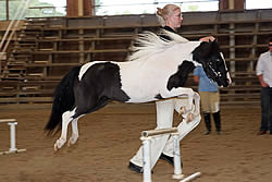 Cowboy in the Hunter Class