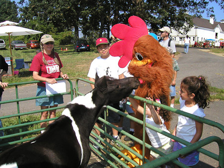 Princess meeting Mr. Rooster