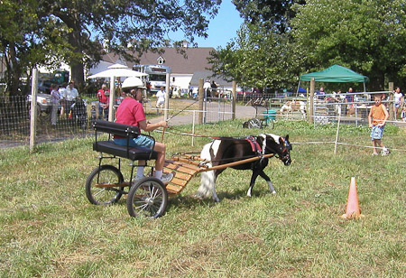 More of Princess and the cart