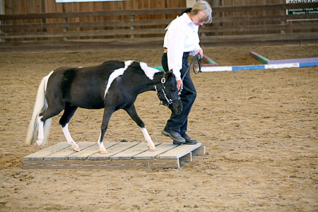 Princess in Trail