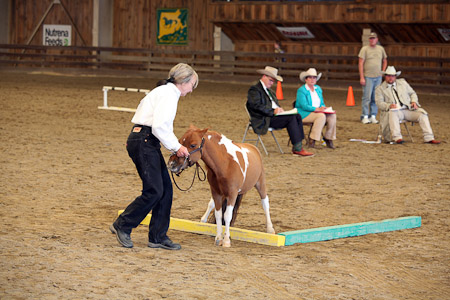 Buckshow in Trail