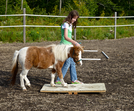 Ruby being led over the teeter-totter bridge