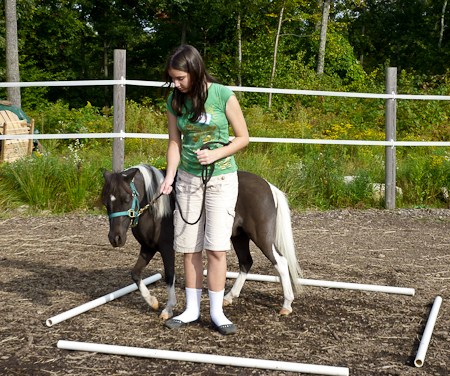 Princess in the box with another student (last obstacle)