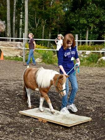 Different student on the brige (note volunteers in background)