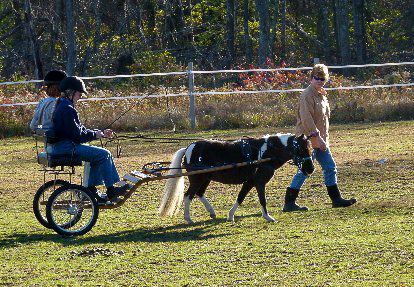 Princess giving rides in the pasture