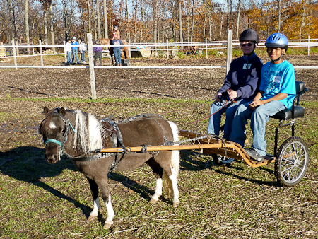 Everyone got their photo taken in the cart (horse riding in other pasture)