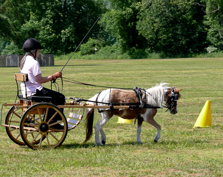 Ruby practicing on cones course, CVDC Fun Day 2009