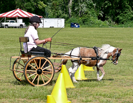 More cones practice, 2009 Fun Day