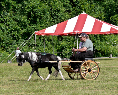 ,Princess has a lesson with Lisa Singer, Fun Day 2009