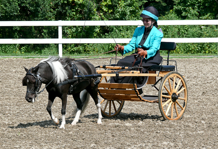 Free walk in dressage