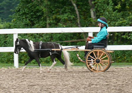 Reinsmanship the next day with better scores