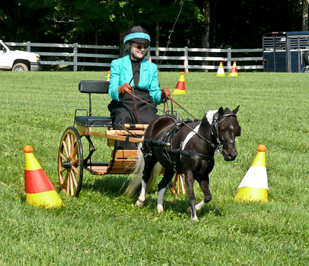 Cones course, our first ADS Show, Aug 2009