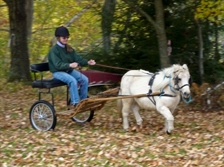 Fizz in driving training 2009