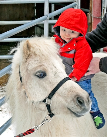 Fizz being a lead line pony