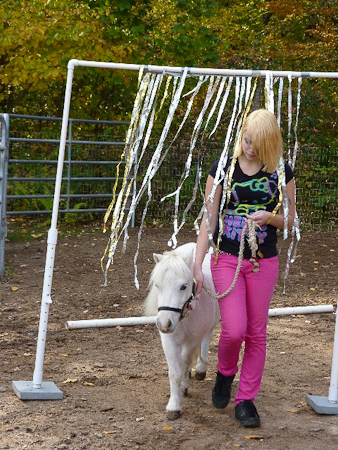 Trail course, 4-H group, days after weaning Max