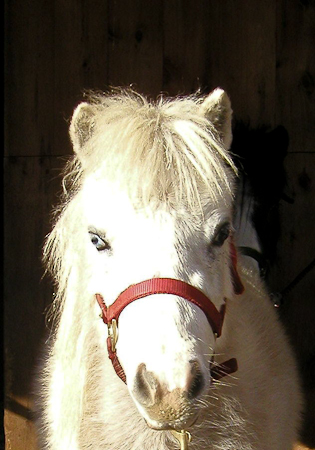 Head shot January 2005