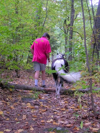 Walk in the woods