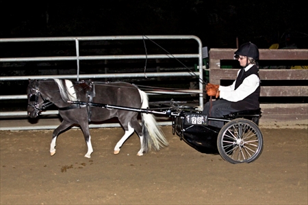 Pinto Show Driving Class - 2009 