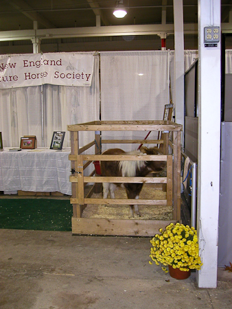 All day in the stall in the Equine Affaire booth 2005