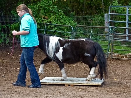 Trail course, 4-H group 2009